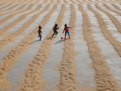 Sản lượng cây trồng châu Á dự báo giảm do El Nino mạnh lên