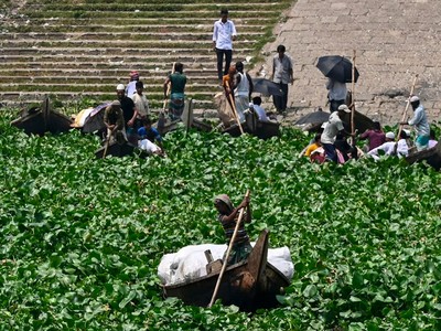 Lục bình làm tắc nghẽn sông Buriganga ở Dhaka, Bangladesh vào ngày 6/6