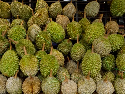 Nhu cầu sầu riêng tăng 400% do cơn sốt ở Trung Quốc