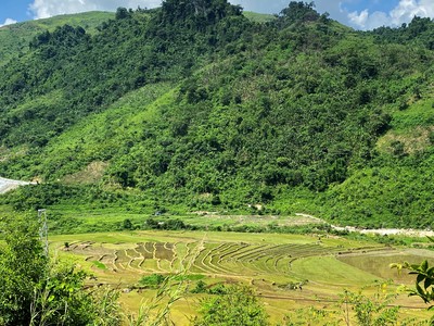 Reuters: Việt Nam có kế hoạch khởi động lại mỏ đất hiếm lớn nhất vào năm tới