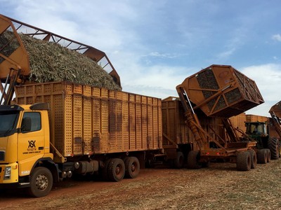 Giá dầu thô tăng kéo giá đường, cao su toàn cầu tăng vọt