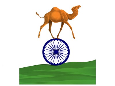 Bài học từ những "lạc đà" công nghệ ở Ấn Độ