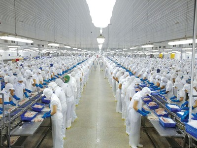 Vĩnh Hoàn (VHC) bất ngờ trì hoãn nộp Báo cáo tài chính quý III/2023 tới chậm nhất ngày 15/11