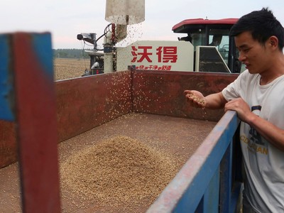 Trung Quốc đẩy mạnh nhập khẩu lúa mì từ Australia và Pháp