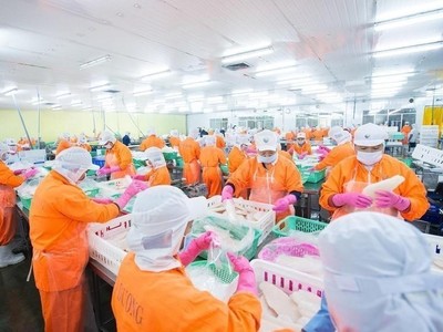 Vi phạm về thuế, Nam Việt (ANV) bị xử phạt