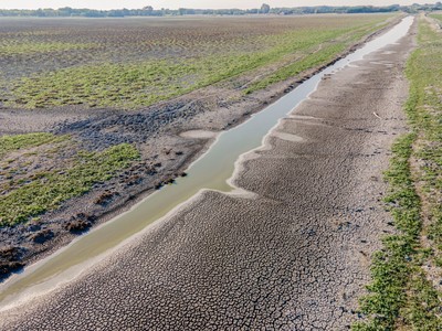 Năm 2023 sẽ là năm nóng kỷ lục