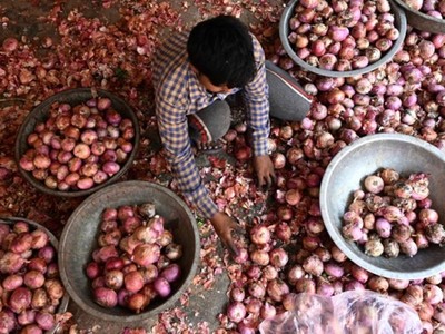 Ấn Độ tiếp tục thắt chặt kiểm soát hàng nông sản 