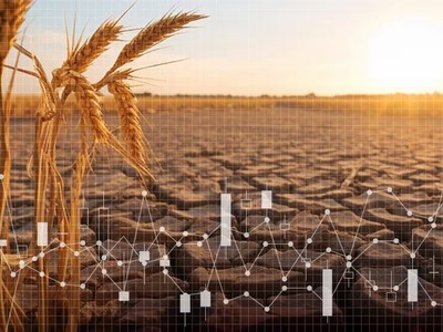 Giá gạo tăng cao gây áp lực lạm phát ở châu Á