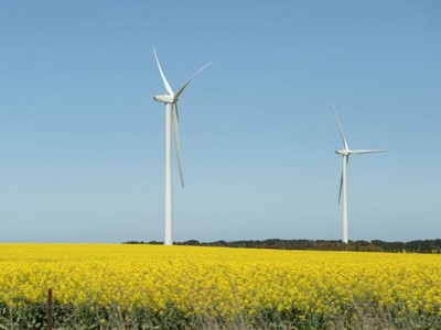 Sự khác biệt giữa việc tài trợ cho mảng năng lượng của các ngân hàng Mỹ và châu Âu