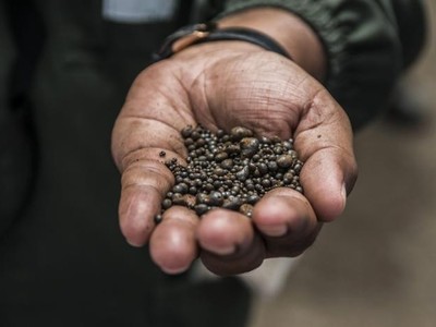 Thị trường coban đang đối mặt với tình trạng dư cung