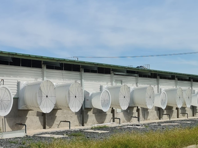 Vừa niêm yết được hơn 1,5 tháng, Siba Group (SBG) muốn huy động vốn từ cổ đông để trả công nợ đến hạn