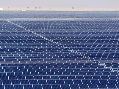 IEA: Năng lượng mặt trời đối mặt với tình trạng dư cung