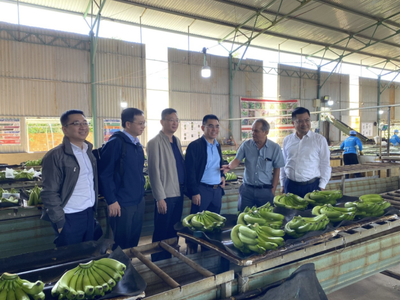 Uỷ ban Chứng khoán Nhà nước thông qua hồ sơ chào bán 130 triệu cổ phiếu của Hoàng Anh Gia Lai (HAG)