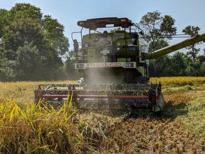 Xuất khẩu gạo basmati của Ấn Độ giảm do nguồn cung từ Pakistan tăng mạnh