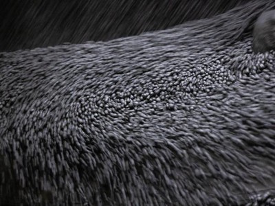 Diễn biến giá quặng sắt và thị trường chứng khoán Trung Quốc đưa ra dấu hiệu nào cho nền kinh tế?