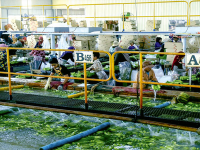 Nhóm Công ty Chứng khoán LPBank đã nâng sở hữu tại Hoàng Anh Gia Lai (HAG) lên 8,47%