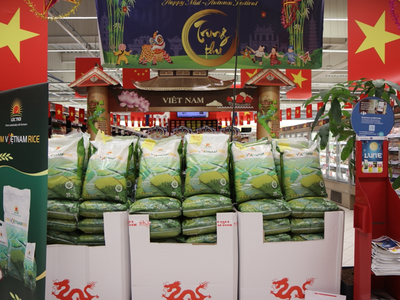 Lộc Trời (LTG) lên tiếng về việc "bỏ thầu giá gạo xuất khẩu rẻ"