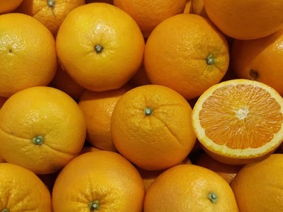 Khủng hoảng nước cam thúc đẩy tìm kiếm loại trái cây thay thế