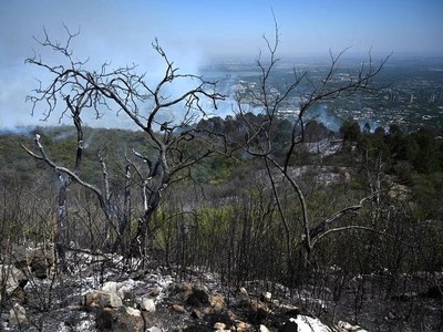OECD: Các quốc gia giàu có đã đạt được mục tiêu tài trợ khí hậu 100 tỷ USD