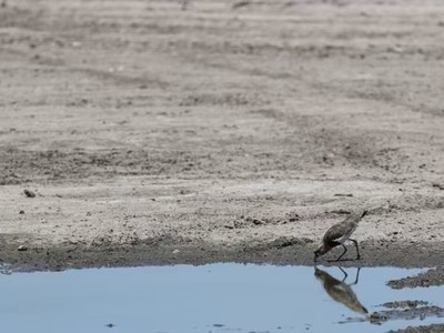 WMO dự báo hiện tượng La Nina có thể giúp nhiệt độ hạ xuống trong năm nay