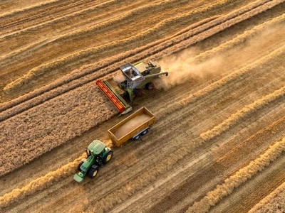 Điểm danh hàng hóa tăng và giảm mạnh nhất từ đầu năm tới nay 