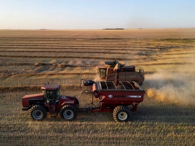 Cơn khát ngũ cốc giảm dần của Trung Quốc gây rắc rối cho nông dân trên toàn thế giới