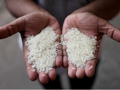 Ấn Độ chính thức cho phép xuất khẩu gạo trắng non-basmati 