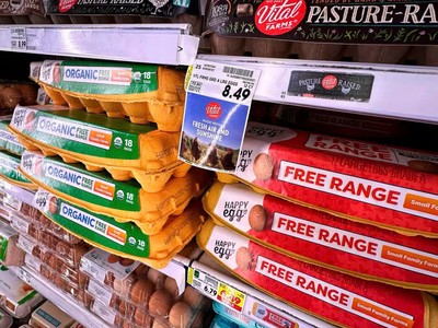 Giá trứng toàn cầu tăng vọt khi cúm gia cầm ảnh hưởng đến nguồn cung