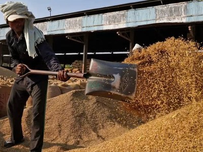 Indonesia đang cân nhắc nhập khẩu 1 triệu tấn gạo từ Ấn Độ vào năm tới