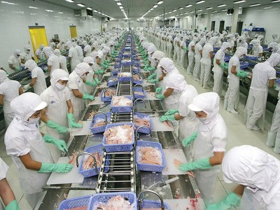 Vĩnh Hoàn (VHC) muốn tạm ứng cổ tức năm 2024 với tỷ lệ 20%