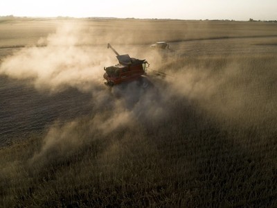 Chiến tranh thương mại Mỹ-Trung sẽ gây tổn hại nhiều hơn cho nông dân Mỹ