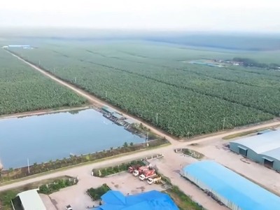 Hoàng Anh Gia Lai (HAG) đã trả bớt được thêm 200 tỷ đồng trái phiếu phát hành năm 2016