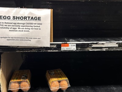 Giá trứng bán buôn tại Mỹ ghi nhận mức cao kỷ lục