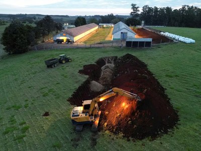Cúm gia cầm bùng phát tại Brazil, kích hoạt loạt lệnh cấm nhập khẩu từ nhiều quốc gia