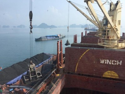 Việt Phát (VPG) lên tiếng sau khi cổ phiếu giảm sàn 5 phiên liên tiếp