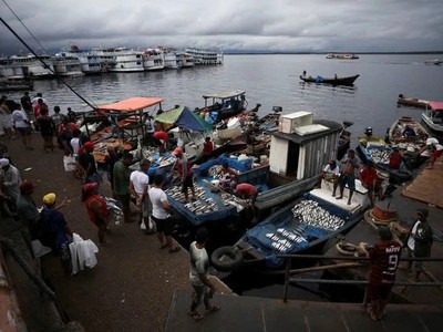 Ngành thủy sản Brazil lao đao sau khi bị Mỹ áp thuế 50%
