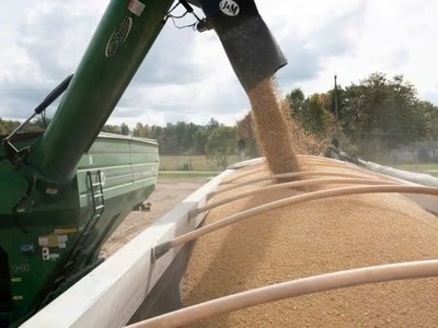 Giá phân bón đang đứng trước áp lực tăng giá