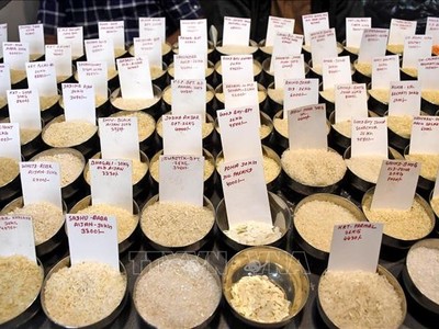 Giá lương thực toàn cầu giảm tháng thứ ba liên tiếp