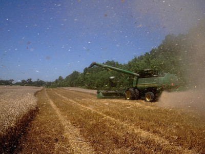 Xuất khẩu của Mỹ sang các thị trường mới nổi tăng mạnh trong năm 2025