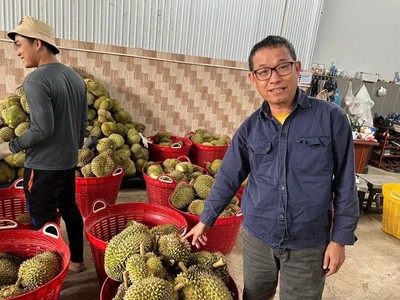 Sầu riêng Việt Nam thắng lớn tại thị trường Trung Quốc