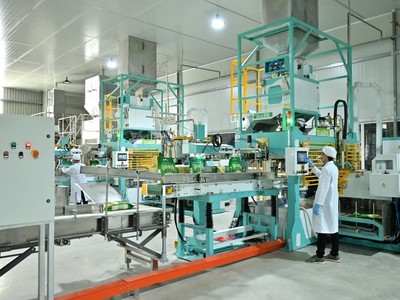 Tập đoàn PAN (PAN): Giảm 7.891 tỷ đồng nợ vay trong năm 2025