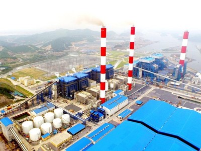 Nhiệt điện Quảng Ninh (QTP): Phó tổng giám đốc Lê Việt Cường bị khởi tố liên quan hành vi làm giả tài liệu