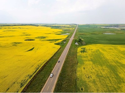 Trung Quốc tạm đình chỉ một số thuế quan nông sản và hải sản đối với Canada