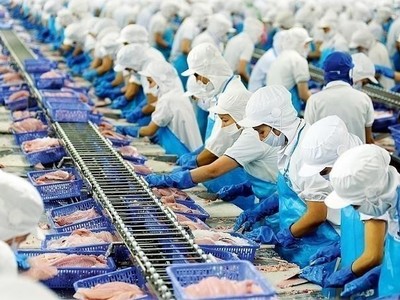 Vĩnh Hoàn (VHC) muốn mua lại 15 triệu cổ phiếu