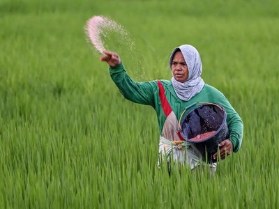 Nguồn cung lương thực toàn cầu có thể bị ảnh hưởng nghiêm trọng nếu xung đột Trung Đông kéo dài