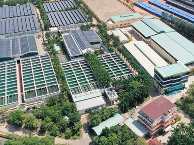 BIWASE (BWE) nâng cấp 8 chi nhánh lên 4 công ty con