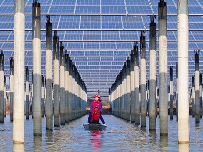 Trung Quốc kêu gọi nỗ lực phối hợp để xử lý công suất dư thừa trong ngành năng lượng mặt trời