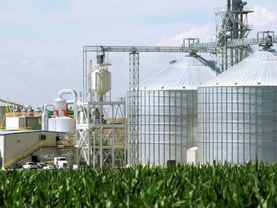 Nhiên liệu sinh học lên ngôi giữa cú sốc năng lượng toàn cầu