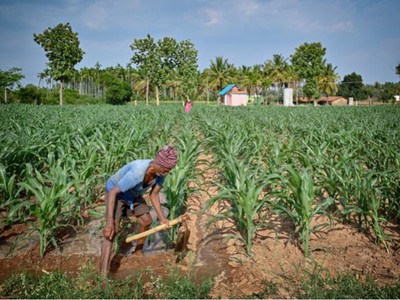 Xung đột kéo dài, lo ngại khủng hoảng lương thực toàn cầu gia tăng 