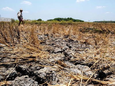 Hiện tượng El Nino có thể mạnh lên vào những tháng tới